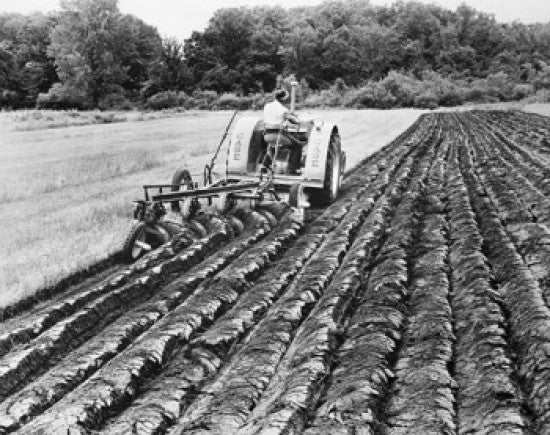 Farmer Plowing a Field Fine Art Print - Available in Multiple Sizes
