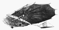 Hawk Glider Fine Art Print - 1896 Design by Percy Sinclair Pilcher
