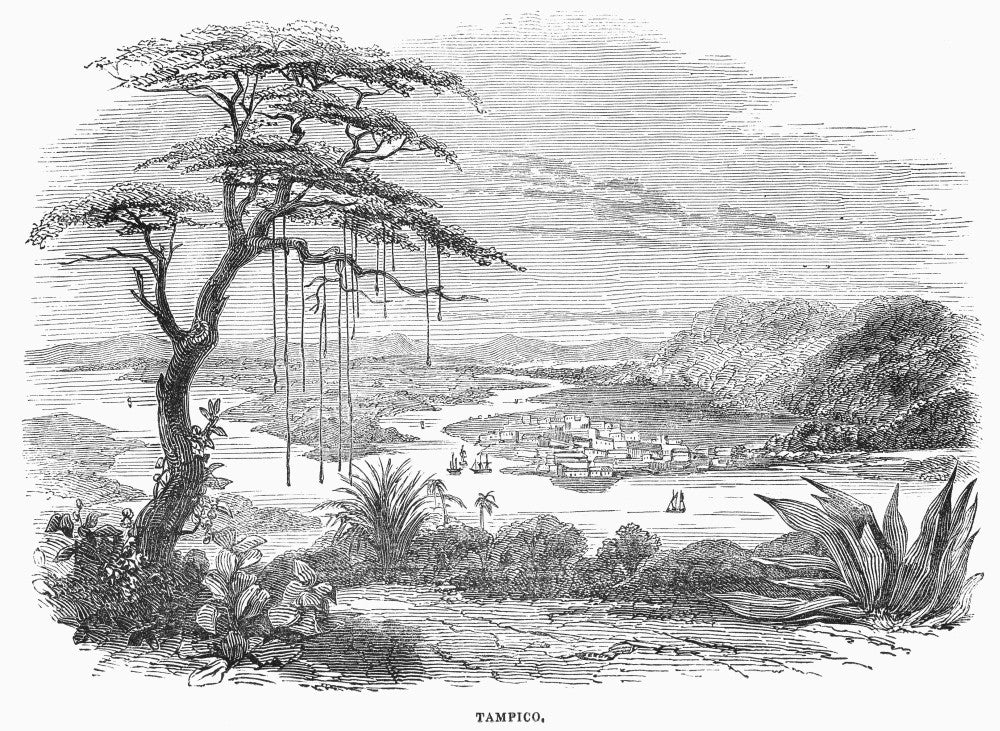 Tampico, Mexico 1845 Wood Engraving Fine Art Print by Granger Collection