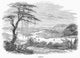Tampico, Mexico 1845 Wood Engraving Fine Art Print by Granger Collection