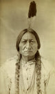 Sitting Bull Fine Art Print - 1885 by D.F. Barry
