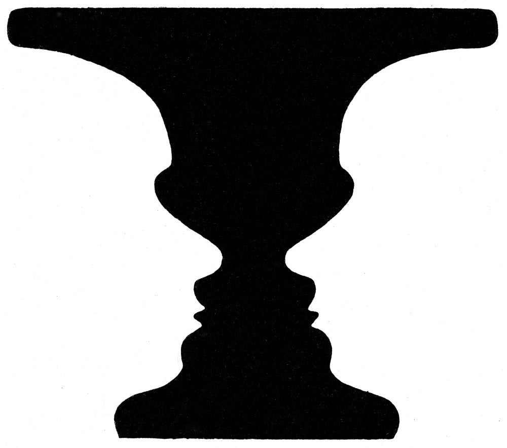 Optical Illusion Rubin's Vase Fine Art Print by Science Source