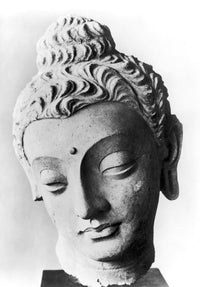 Buddha Limestone Head from Gandhara Fine Art Print | Granger Collection