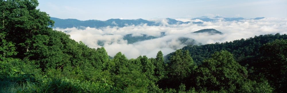 Smoky Mountain National Park Fine Art Print - Panoramic View