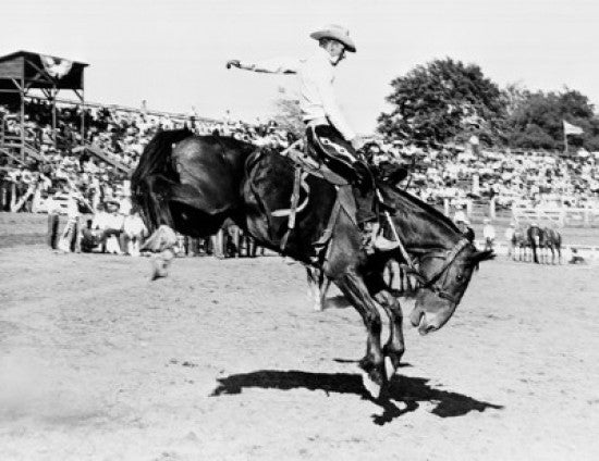 Cowboy Riding a Bucking Horse in Rodeo Fine Art Print