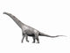 Alamosaurus sanjuanensis Fine Art Print - Late Cretaceous Sauropod