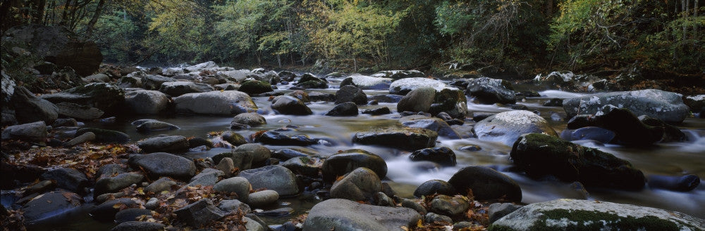 Rocks in a River Fine Art Print - Great Smoky Mountains National Park