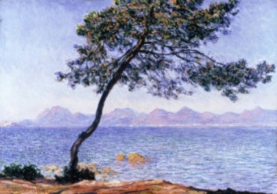 Cap d'Antibes Fine Art Print by Claude Monet - 1888