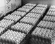 High Angle View of Eggs in Egg Cartons Fine Art Print