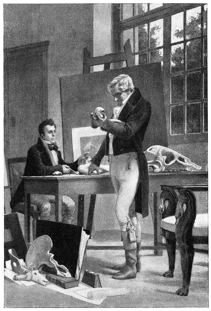 Baron Georges Cuvier Studying Fossils Fine Art Print