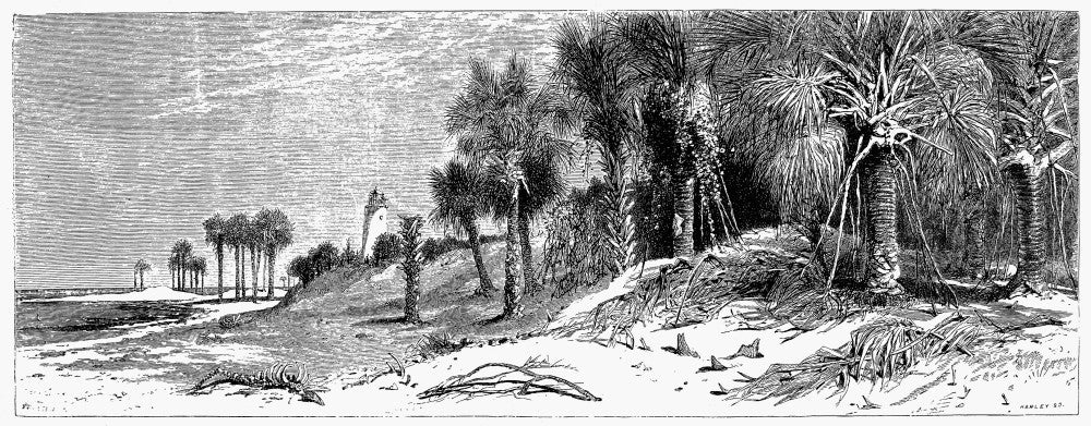 Florida St. John's River 19th Century Line Engraving Poster Print by Granger Collection