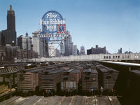 Chicago Railroad Freight Cars Fine Art Print by Jack Delano