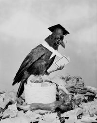 Wise Crow Reading Book Fine Art Print - Mortarboard & Glasses