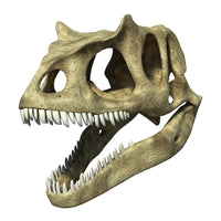3D Allosaurus Skull Fine Art Print | Posterazzi