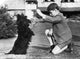 Fala and Prince 1944 Fine Art Print - Roosevelt's Scottish Terrier