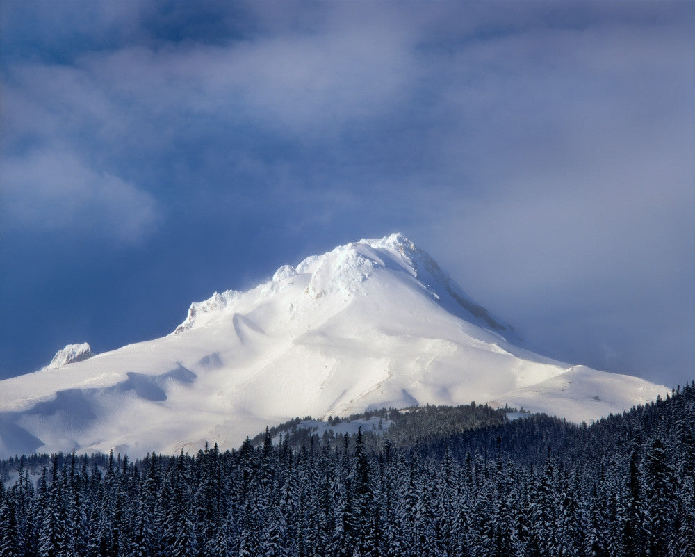 Scenic Mt Hood and White River Fine Art Print | Posterazzi