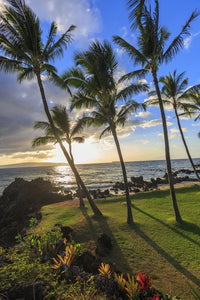 Small Beach in Makena, Maui Fine Art Print by Stuart Westmorland