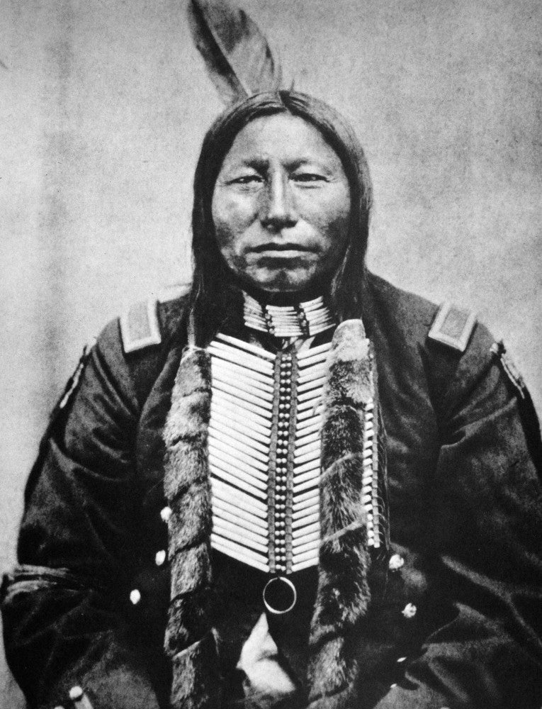 Sioux: Crow King Late 19th Century Photograph Poster Print by Granger Collection