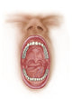 Anatomy of Human Mouth Cavity Fine Art Print