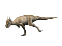 Stygimoloch Fine Art Print - Late Cretaceous Dinosaur