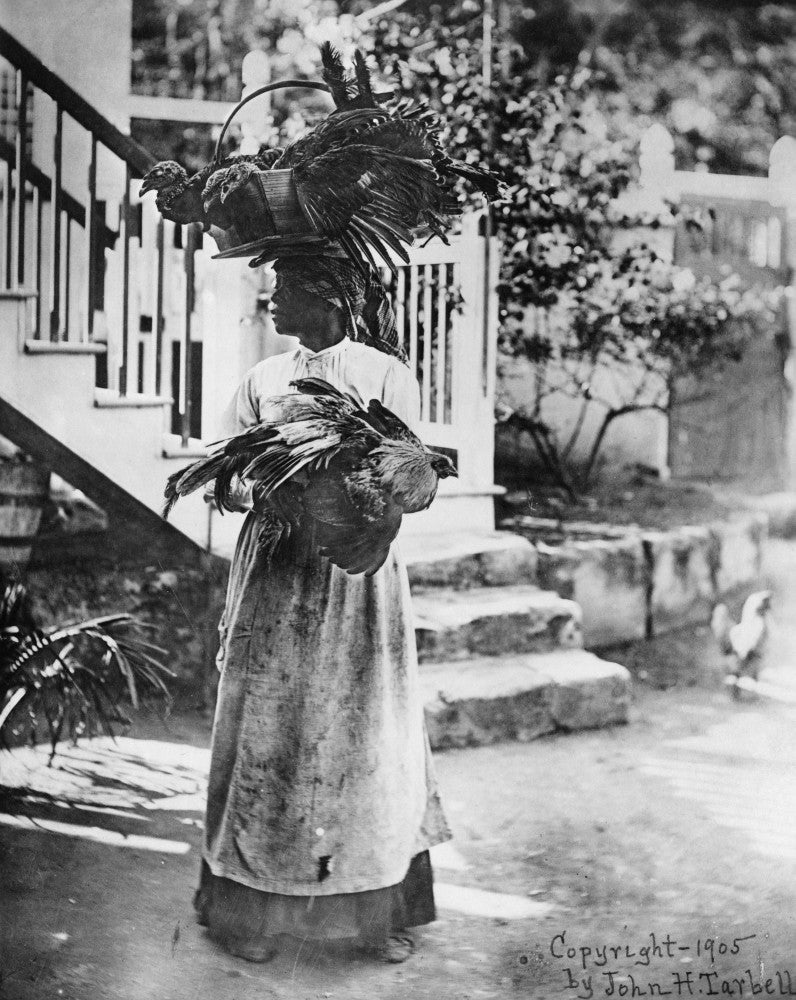Nan African American Woman Carrying Chickens and Turkeys to Market Fine Art Print by John Tarbell