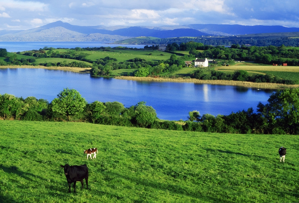 Scenic View of Lake and Countryside Fine Art Print by The Irish Image Collection