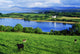 Scenic View of Lake and Countryside Fine Art Print by The Irish Image Collection