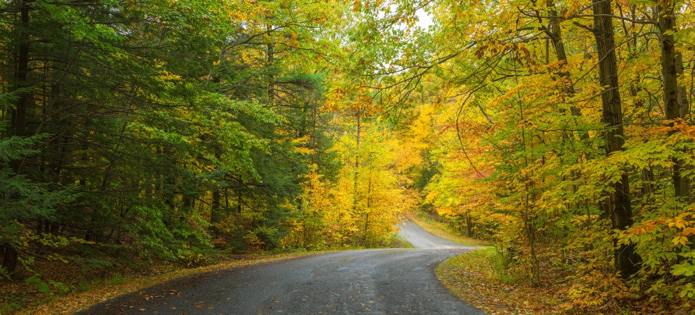 Chestnut Ridge County Park Fine Art Print by Panoramic Images