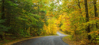 Chestnut Ridge County Park Fine Art Print by Panoramic Images