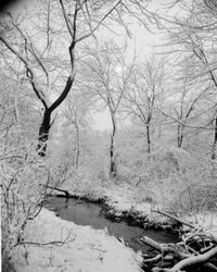 Snowy Forest with Stream Fine Art Print - Multiple Sizes Available
