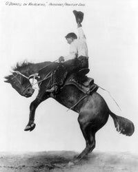 Wyoming Cowboy on Bucking Bronco Fine Art Print - C1911