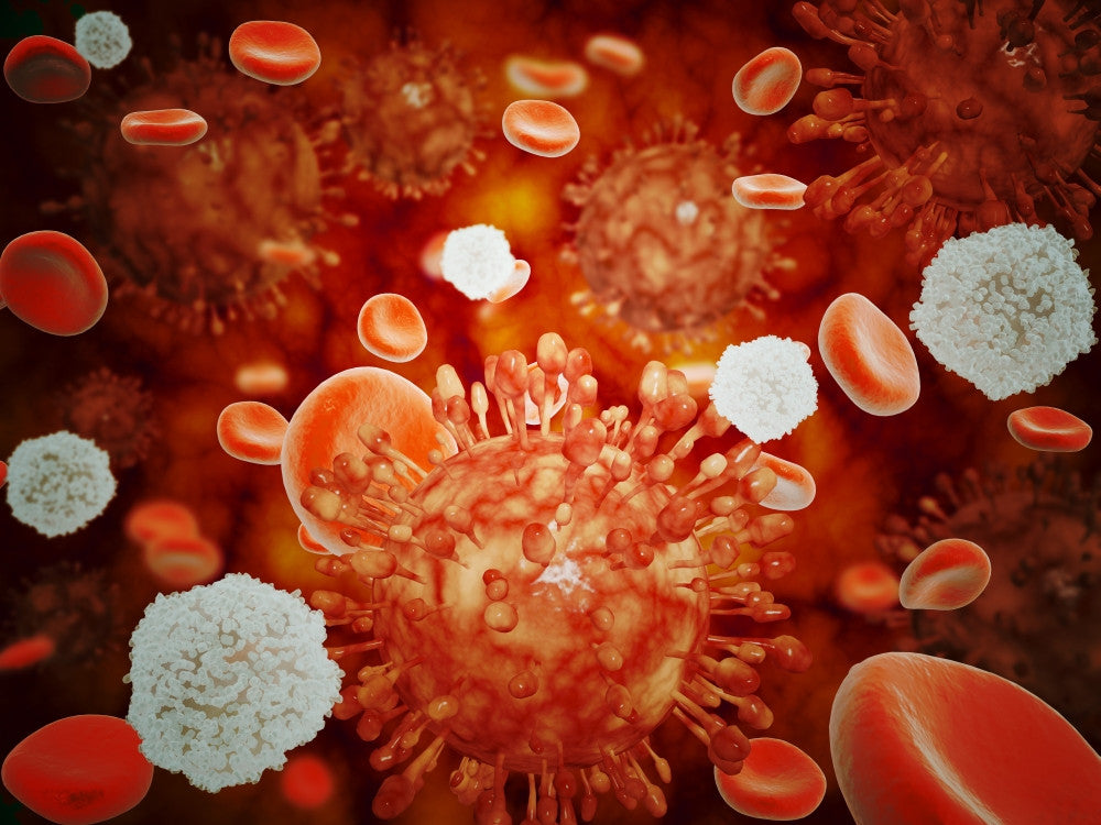 H5N1 Virus Microscopic View Fine Art Print with Blood Cells