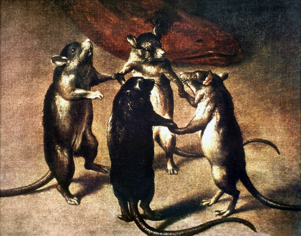 Plague: Dance Of The Rats Fine Art Print - 17th Century Flemish Artwork