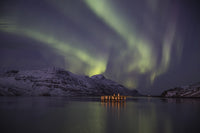 Aurora Borealis Poster Print - Djupavik, Iceland by Robert Postma