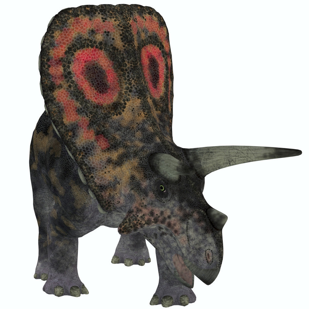 Torosaurus Late Cretaceous Dinosaur Fine Art Print