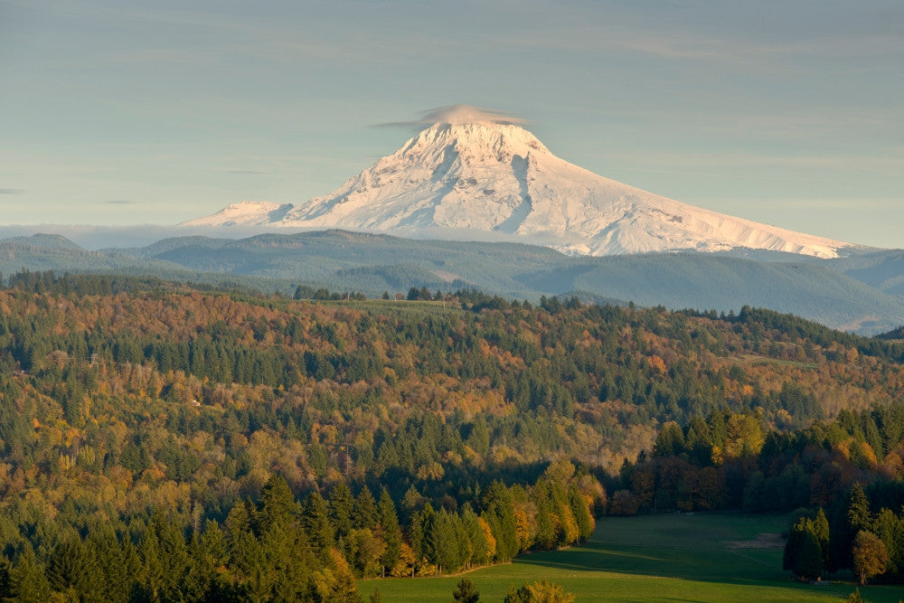 Mt. Hood Landscape Poster Print from Jonsrud Viewpoint, Oregon