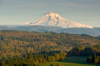 Mt. Hood Landscape Poster Print from Jonsrud Viewpoint, Oregon