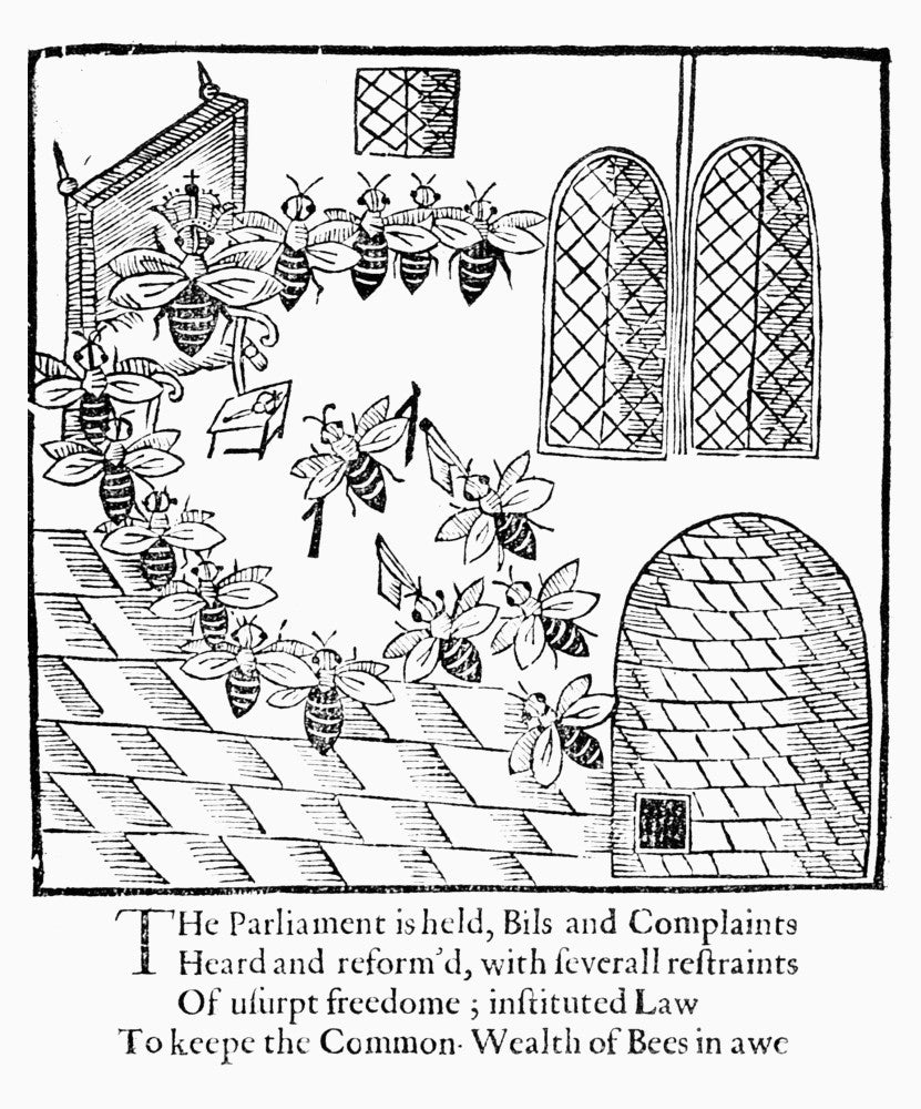 Parliament of Bees Woodcut Print from John Day's 1641 Play