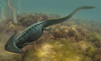 Diplocaulus Salamandroides Fine Art Print by Sergey Krasovskiy