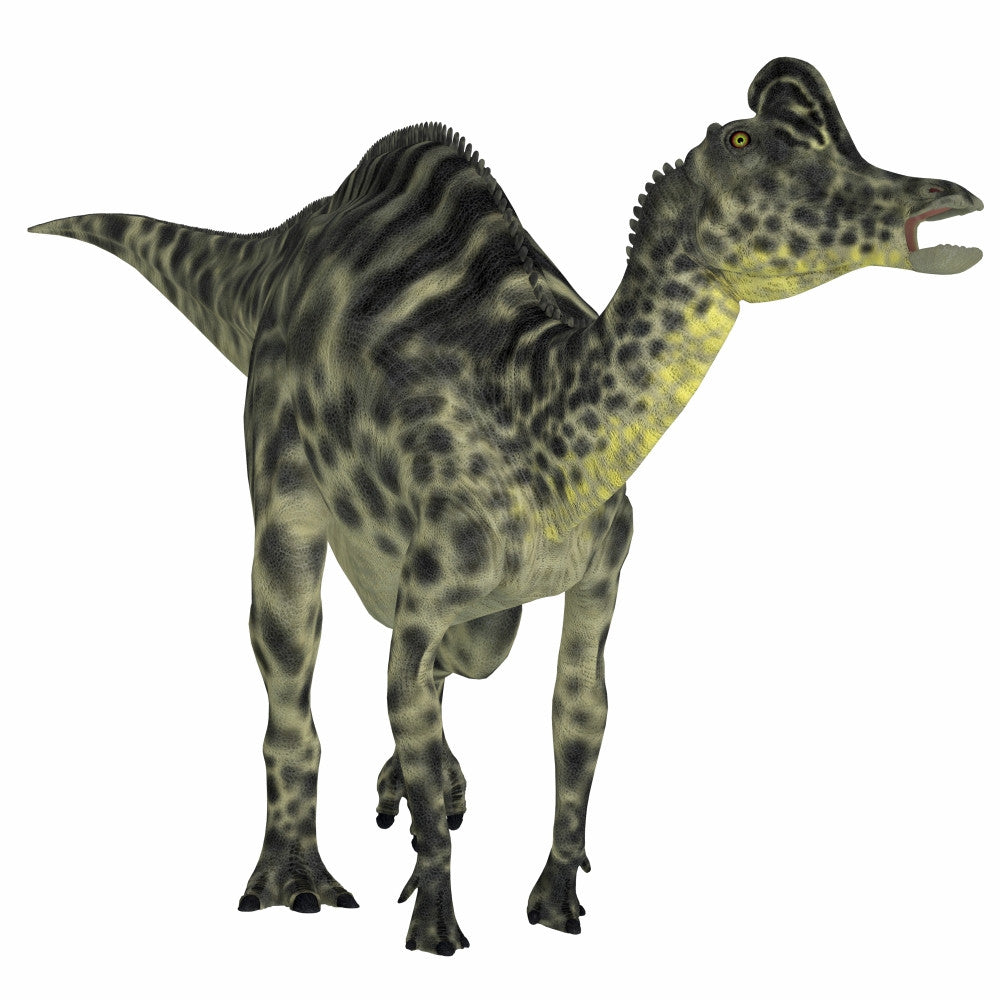 Velafrons Duck-Billed Dinosaur Fine Art Print - Cretaceous Period