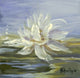 Water Lillies 3 Fine Art Print by Harriet Nordby (12x12)