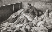 Crocodiles with Their Trainer - 19th Century Fine Art Print