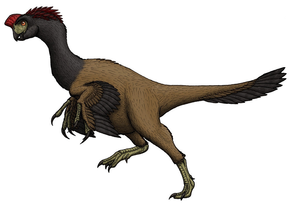Citipati: Cretaceous Oviraptorid Fine Art Print