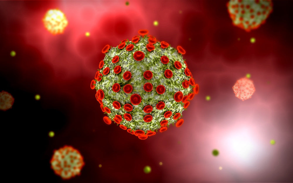 Microscopic View of HIV Virus Fine Art Print - StockTrek Images