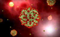 Microscopic View of HIV Virus Fine Art Print - StockTrek Images