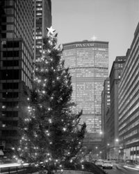 New York City Park Avenue Christmas Tree Street Scene Poster Print