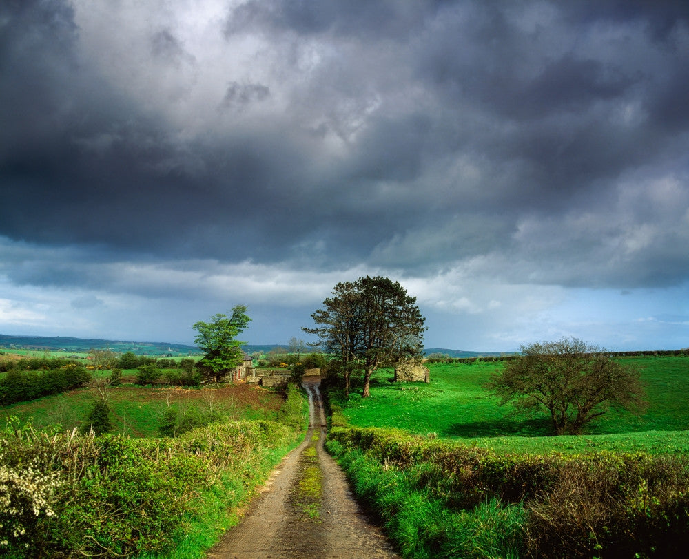 Co Armagh, Northern Ireland Small Farm Fine Art Print by The Irish Image Collection
