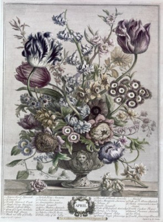 April 1730 Lithograph Fine Art Print by H. Fletcher