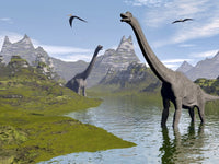 Brachiosaurus Dinosaurs Walking in a Stream Fine Art Print