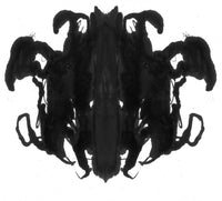 Rorschach Inkblot Fine Art Print by Spencer Sutton | Science Source